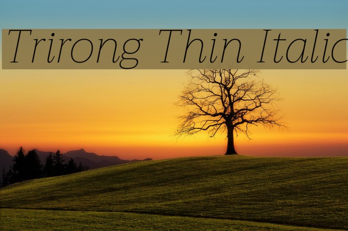 Trirong Thin Italic Font examples