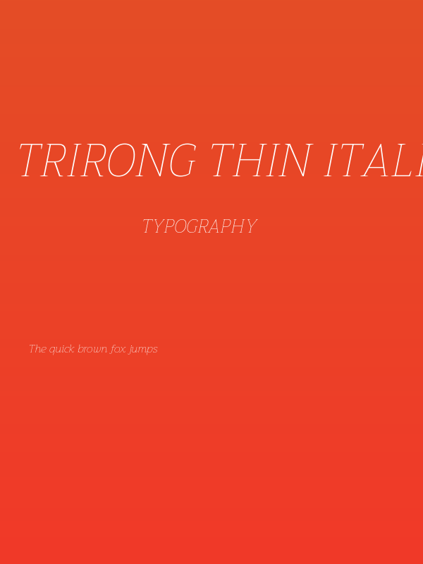 Trirong Thin Italic Poster