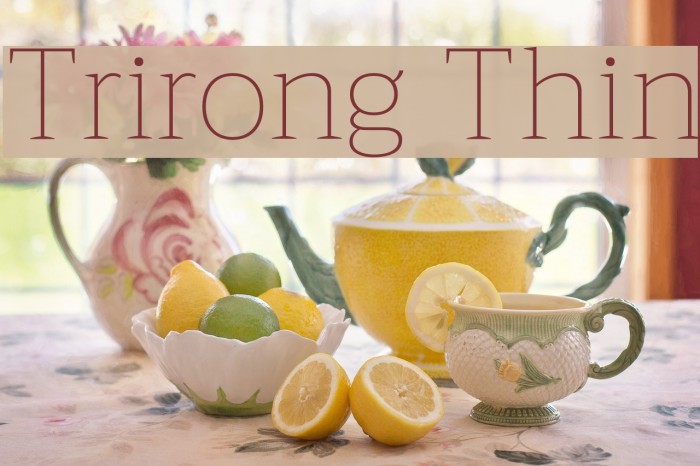 Trirong Thin Fuentes examples