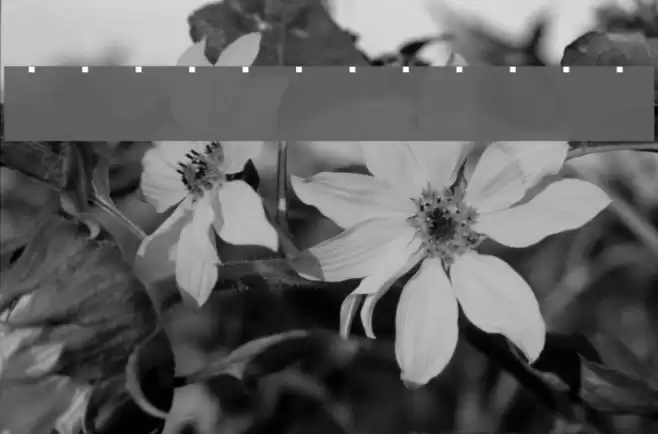 Triskweline 10 Schriftart examples