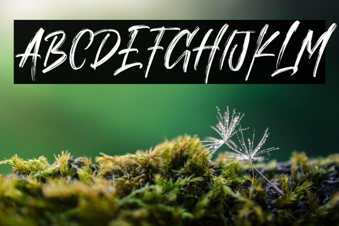 Trista Personal Use Only !!! Example 2