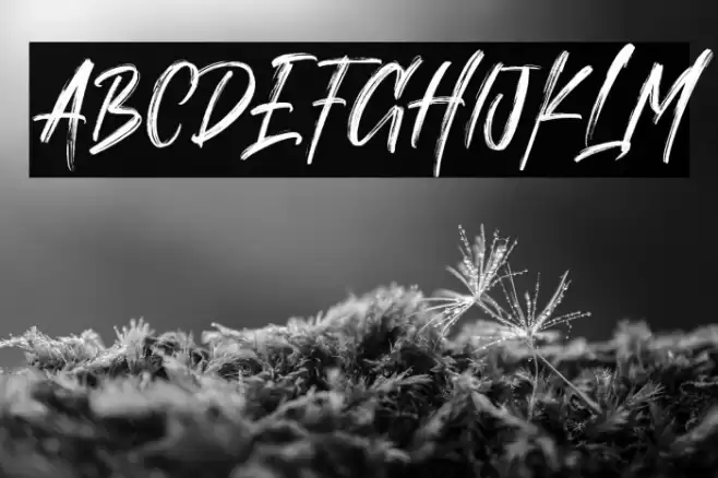 Trista Personal Use Only !!! Font examples