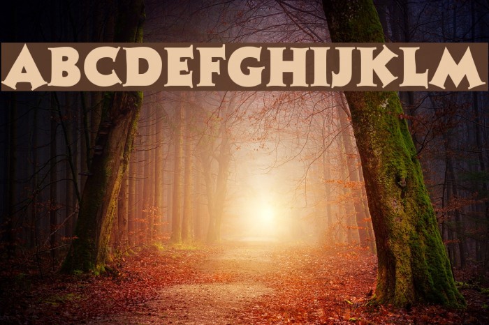 Tristan Regular Font examples