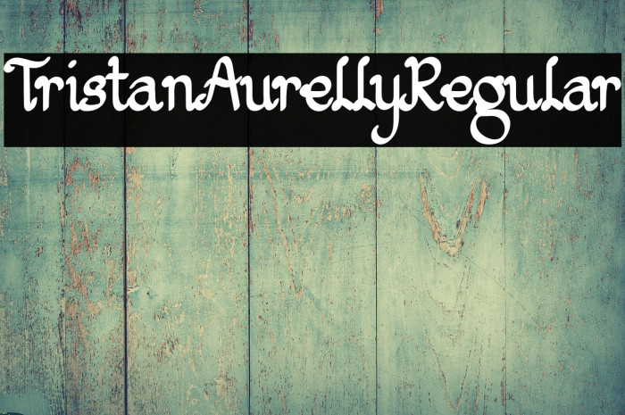 TristanAurellyRegular Example 1