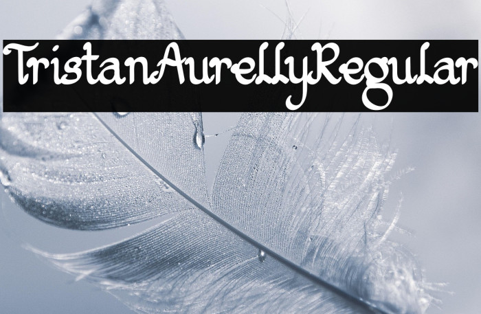 TristanAurellyRegular Example 2