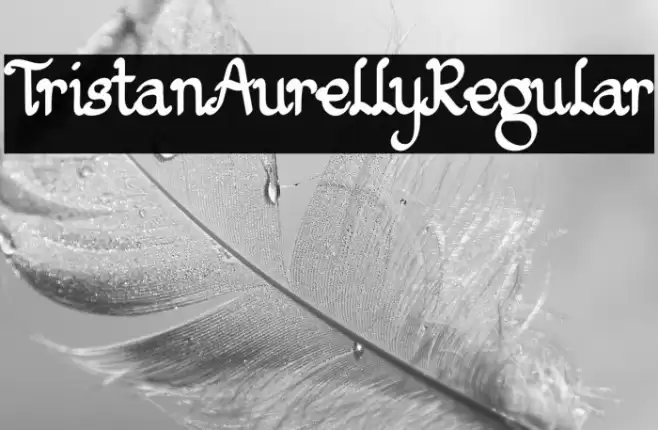 TristanAurellyRegular Font examples