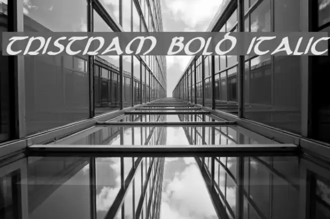 Tristram Bold Italic Font examples