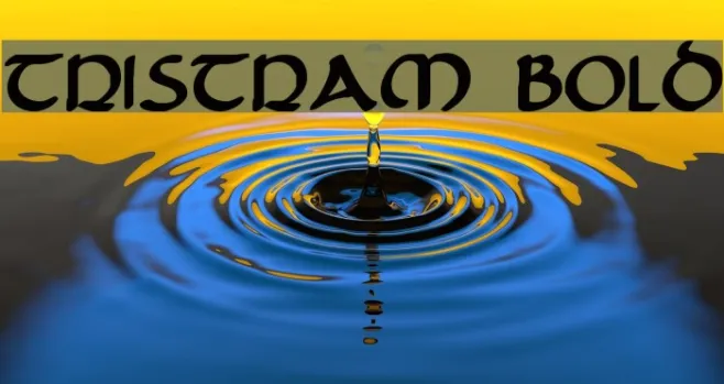 Tristram Bold Example 3