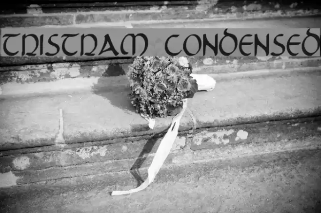 Tristram Condensed Font examples