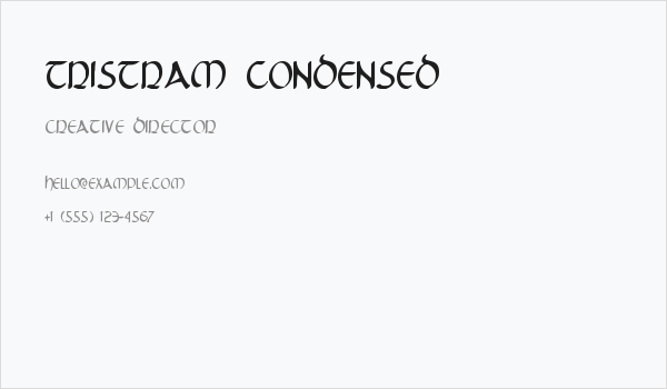 Tristram Condensed Business Card