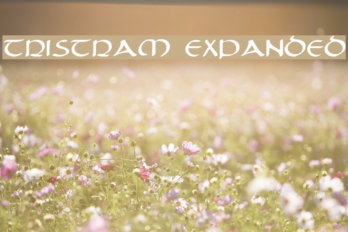 Tristram Expanded Font examples
