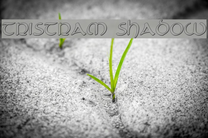 Tristram Shadow Example 1