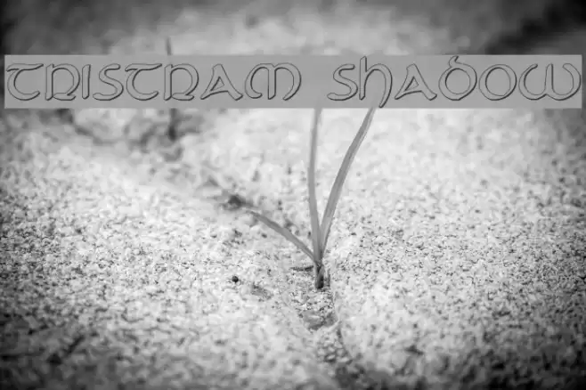Tristram Shadow Font examples