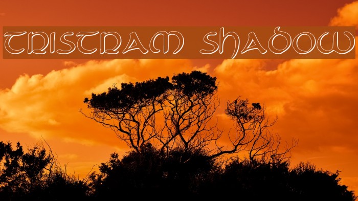 Tristram Shadow Example 3