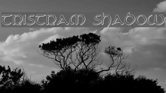 Tristram Shadow Font examples