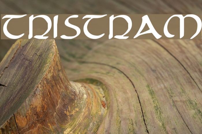 Tristram Font examples