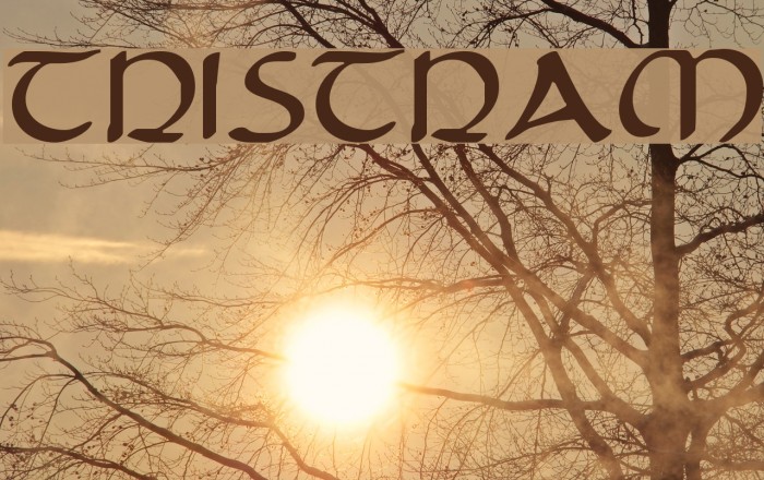 Tristram Font examples