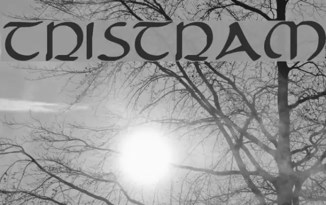 Tristram Font examples