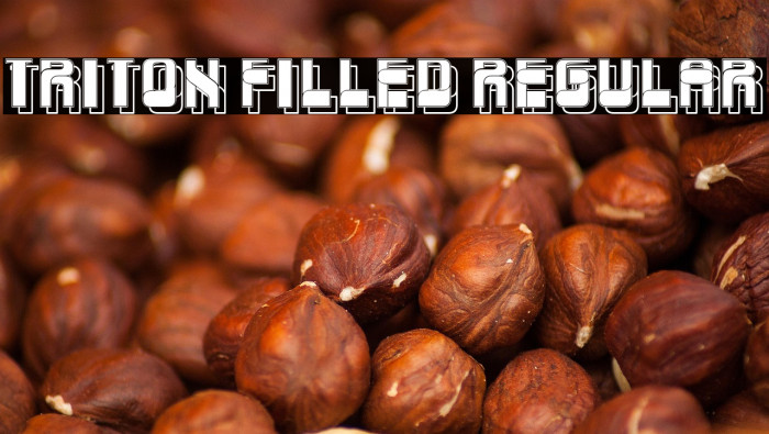 Triton Filled Regular Example 2