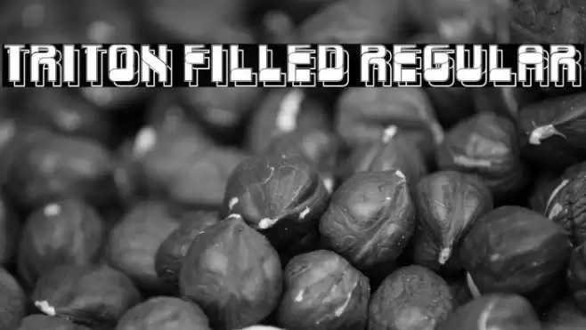 Triton Filled Regular Font examples