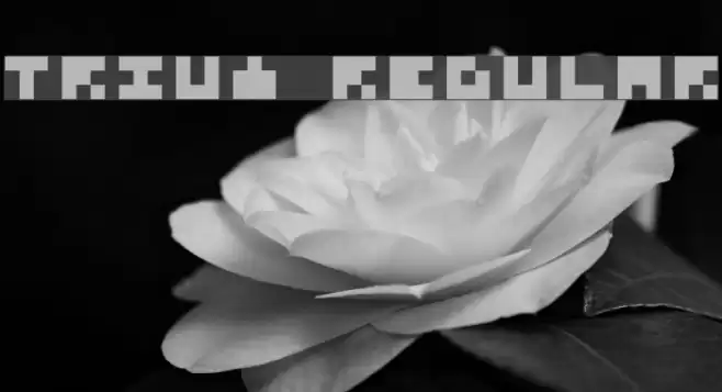 Trium Regular Fonte examples