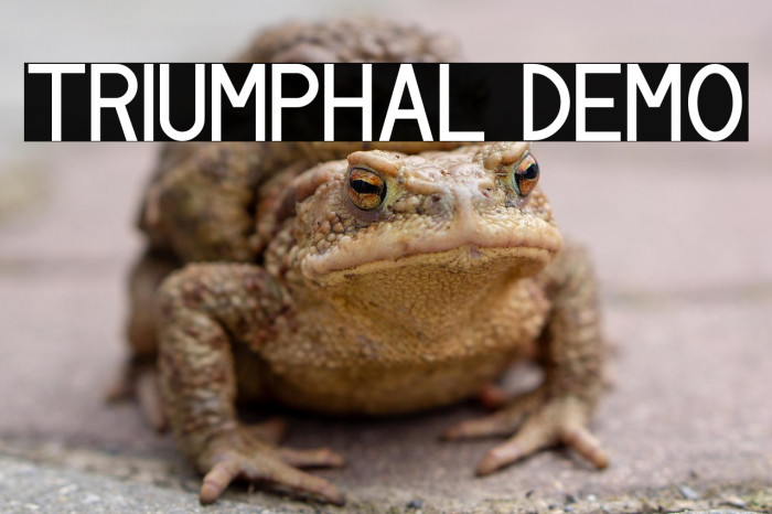 Triumphal Demo Example 2