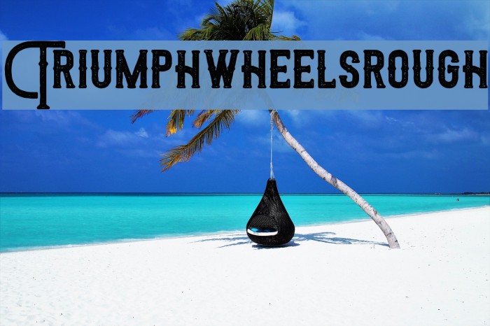 Triumphwheelsrough Font examples