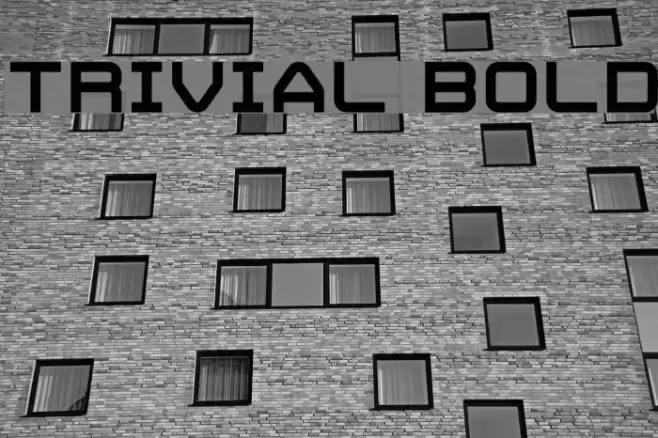 Trivial Bold Font examples