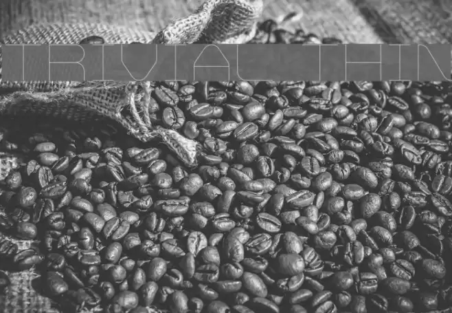 Trivial Thin Font examples