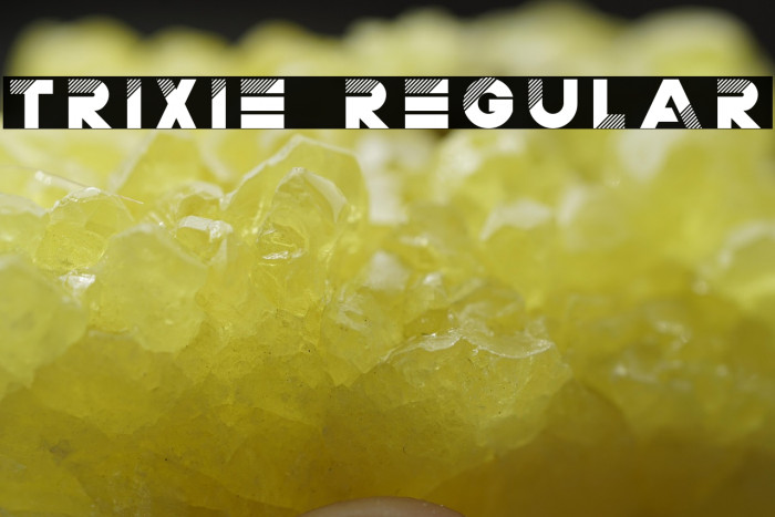 Trixie Regular Example 1