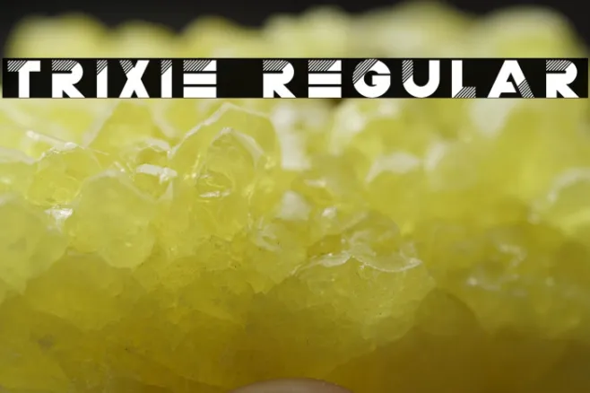 Trixie Regular Example 1