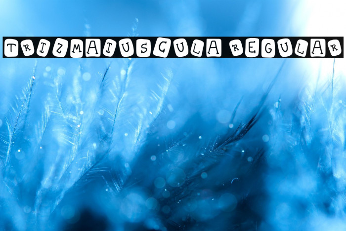 Trizmaiuscula Regular Example 2