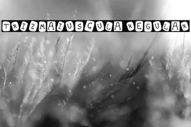 Trizmaiuscula Regular फ़ॉन्ट examples