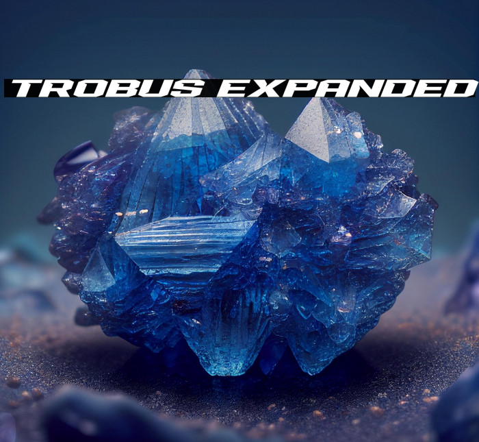 Trobus Expanded Example 1