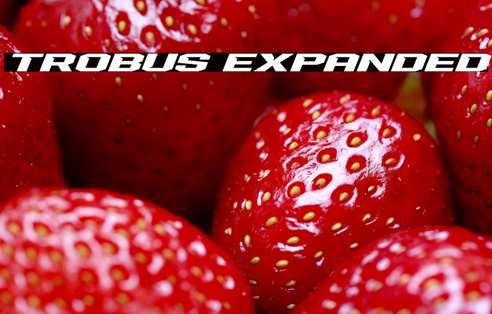 Trobus Expanded Example 2