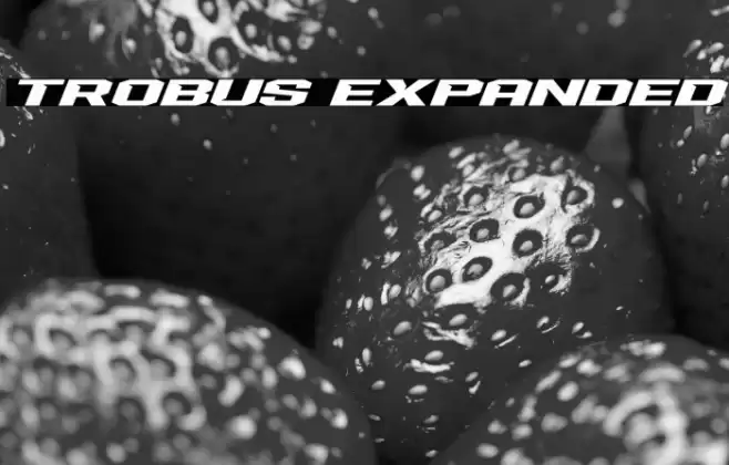 Trobus Expanded Font examples