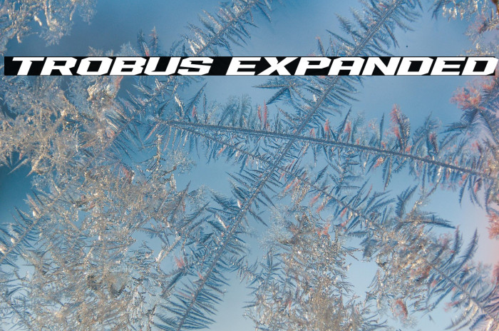 Trobus Expanded Example 3