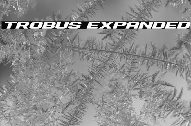 Trobus Expanded Font examples