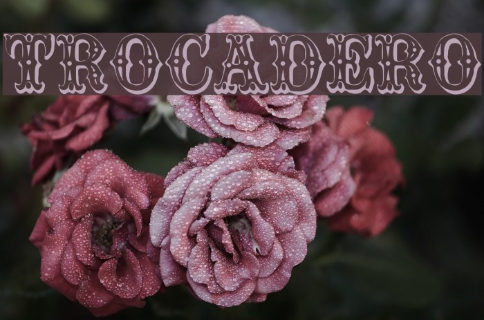 Trocadero Font examples