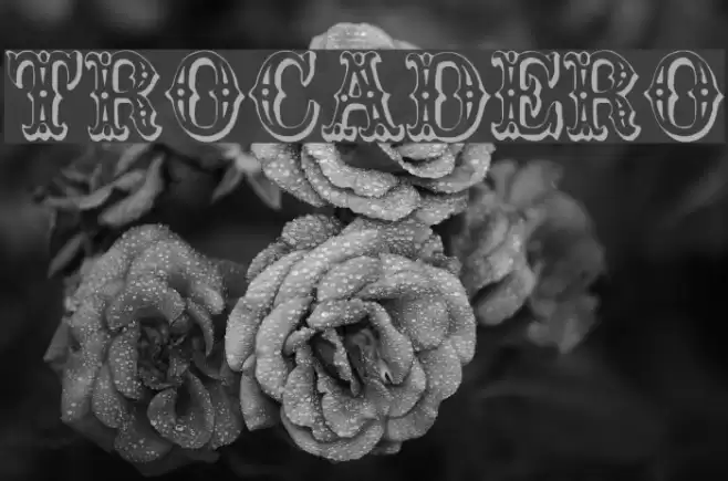 Trocadero Fonte examples