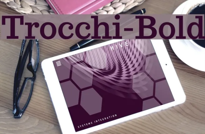 Trocchi-Bold Example 2