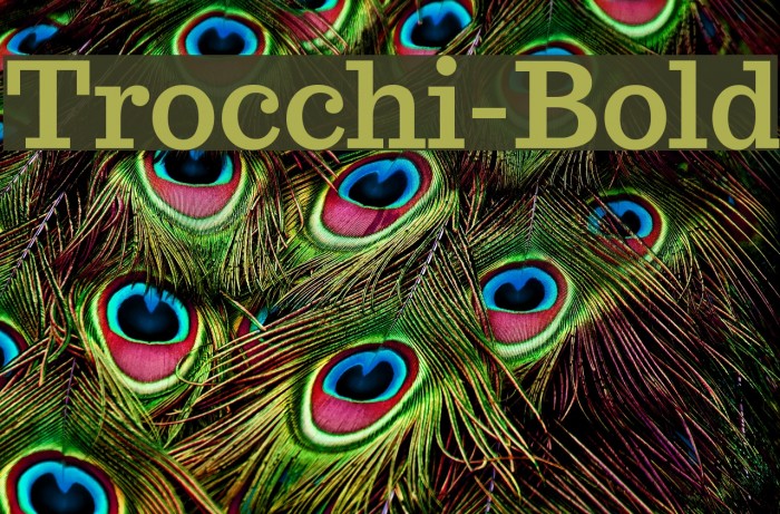 Trocchi-Bold Font examples