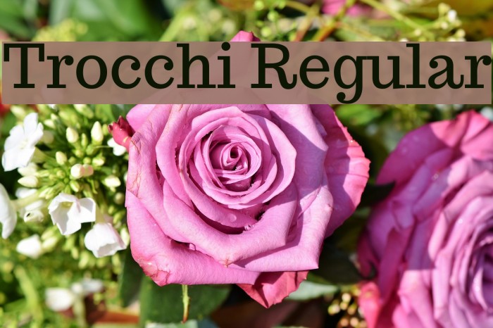 Trocchi Regular Font examples