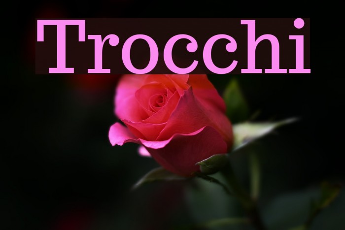 Trocchi Font examples