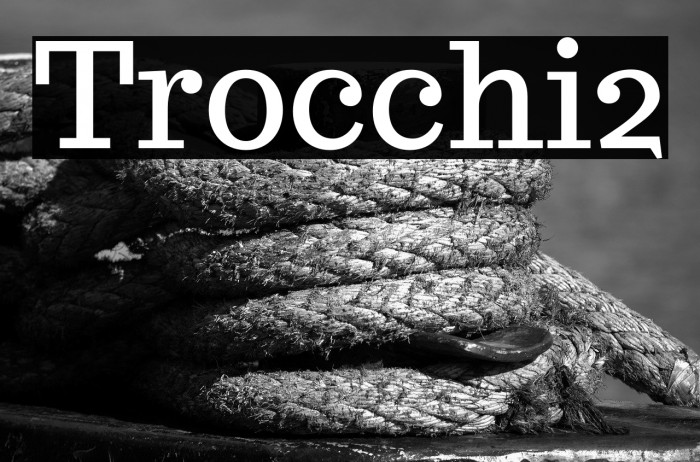 Trocchi2 Example 1