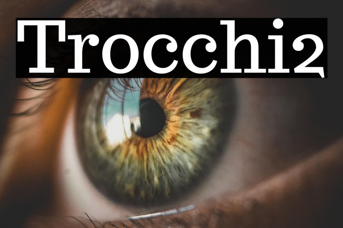 Trocchi2 Example 2