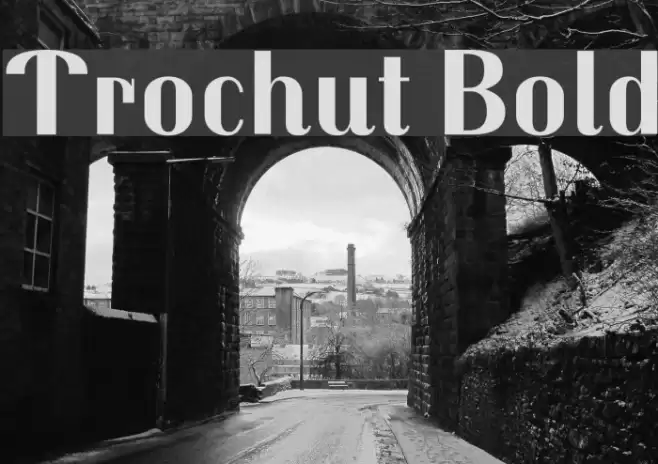 Trochut Bold Font examples