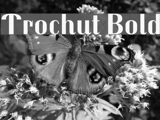 Trochut Bold Font examples