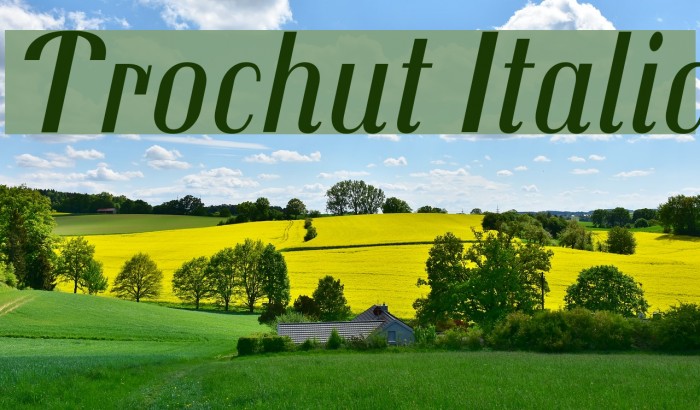 Trochut Italic Example 1