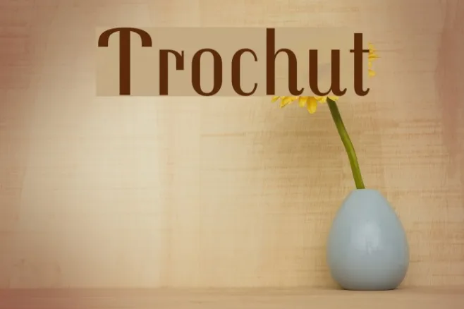 Trochut Example 1